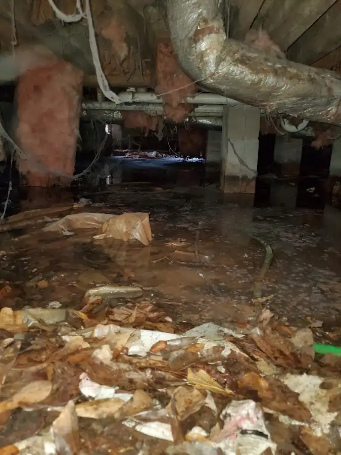 Crawl space flood assessment for Leak Detection & Repair in Plainfield
